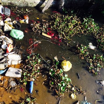 File Aug 09, 2 33 27 PM