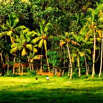 File Aug 16, 8 08 21 AM